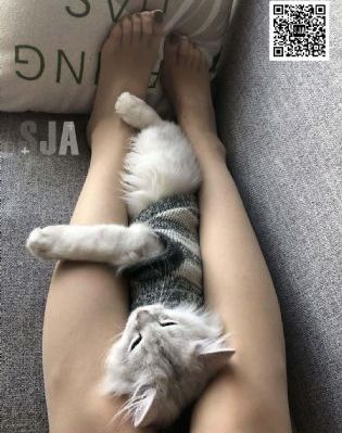 打飞机国内外黑人-新视觉高清迅雷下载